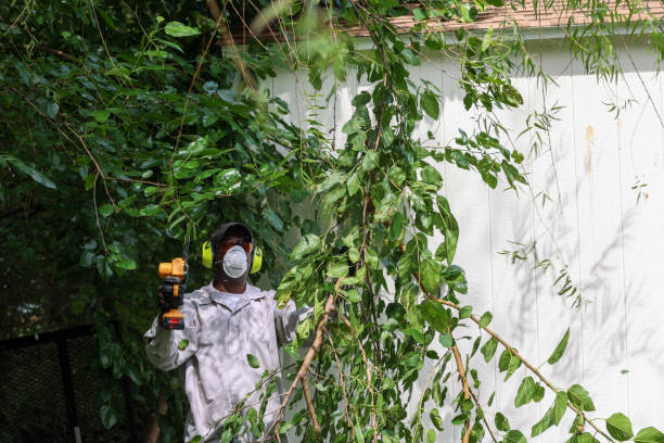 Best Commercial Tree Services  in Highland Park, TX